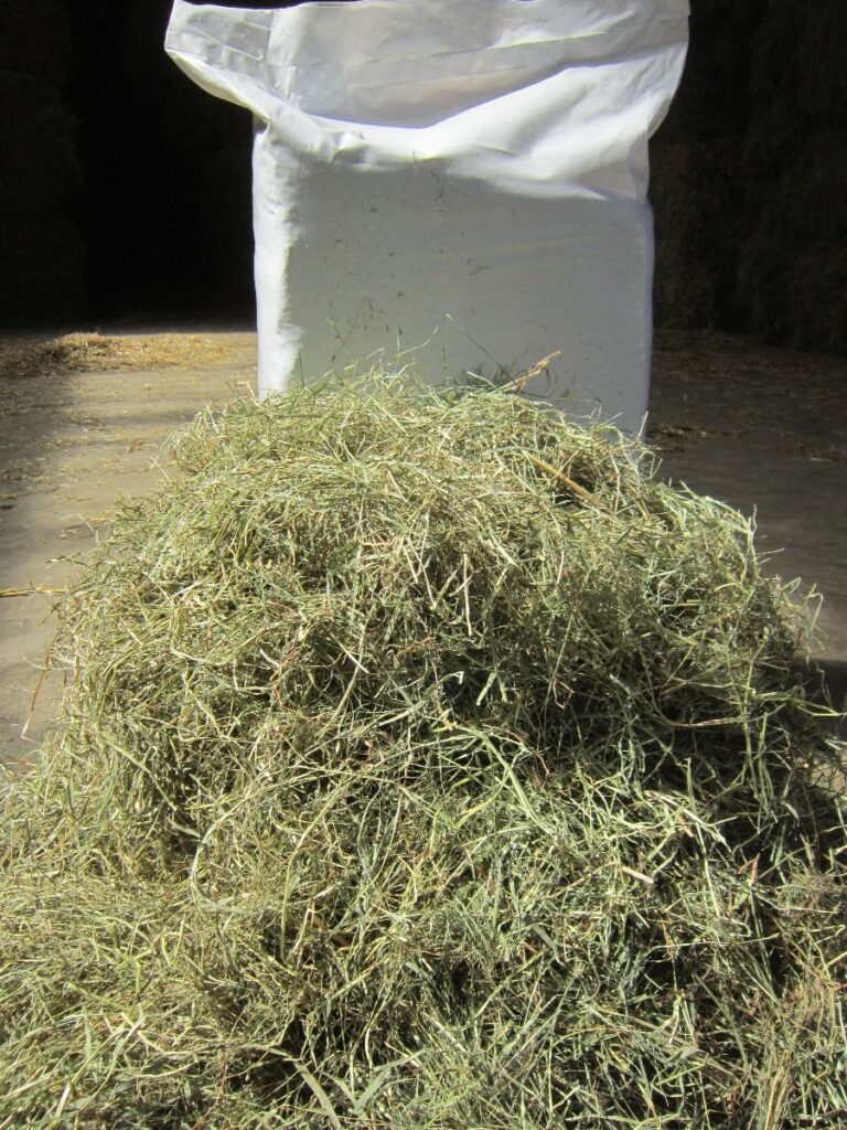 Hochwertiges Heu im handlichen Kleinballen